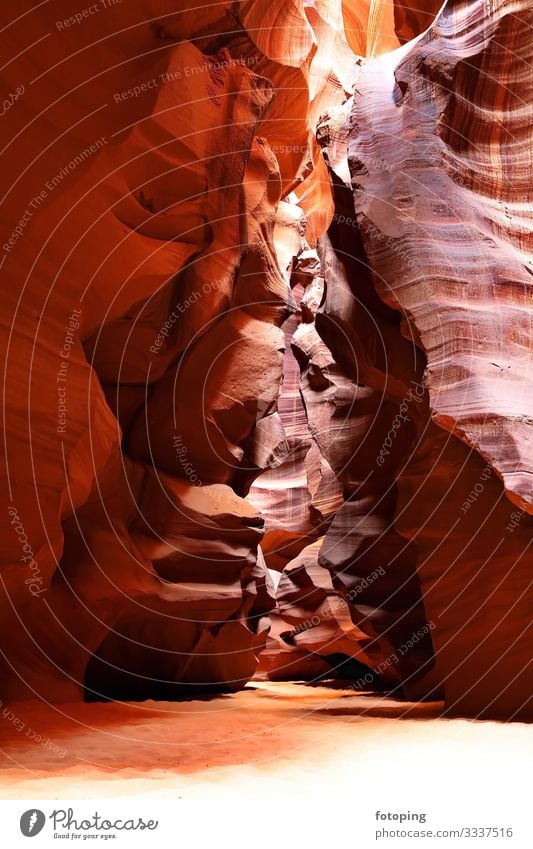 Antelope Canyon in Arizona schön Ferien & Urlaub & Reisen Tourismus Natur Landschaft Sand Luft Wasser Felsen Schlucht Sehenswürdigkeit Stein leuchten rot