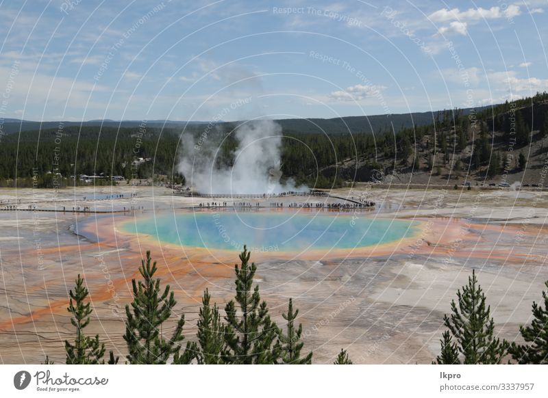 yellowstone nationalpark die natur Schwimmbad Ferien & Urlaub & Reisen Tourismus Berge u. Gebirge Natur Landschaft Park Wald Vulkan heiß natürlich