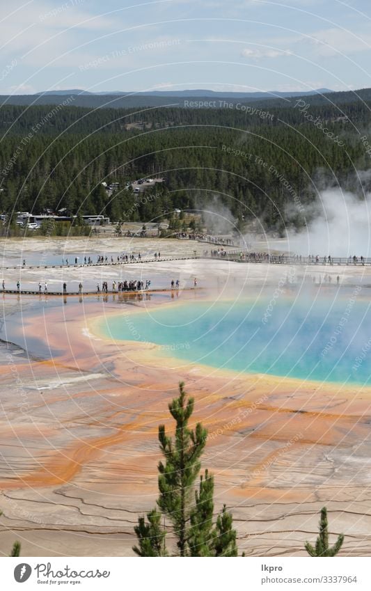 yellowstone nationalpark die natur Schwimmbad Ferien & Urlaub & Reisen Tourismus Berge u. Gebirge Natur Landschaft Park Wald Vulkan heiß natürlich