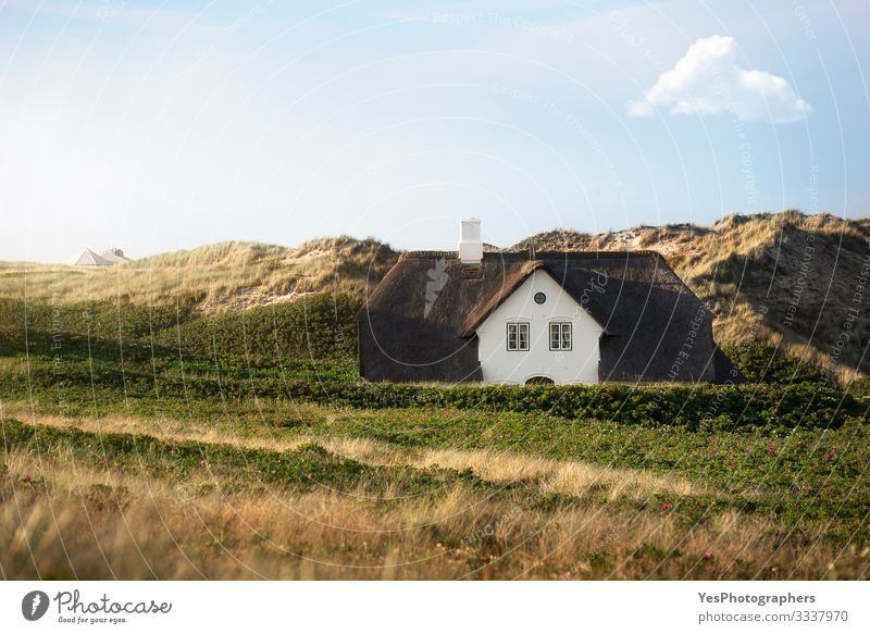 Schilfdachhaus auf Dünen auf der Insel Sylt an der Nordsee Sommer Haus Traumhaus Landschaft Schönes Wetter Gebäude Architektur Fassade träumen historisch Idylle