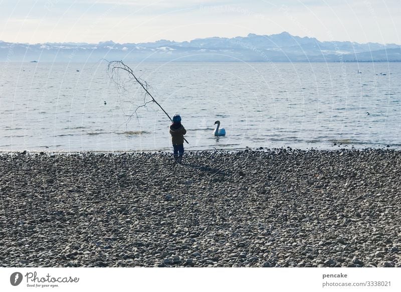 wählt eure waffen! Kleinkind Natur Landschaft Urelemente Wasser Himmel Horizont Baum Alpen Küste Seeufer Strand Wildtier Vogel Schwan 1 Tier Ehre Tapferkeit