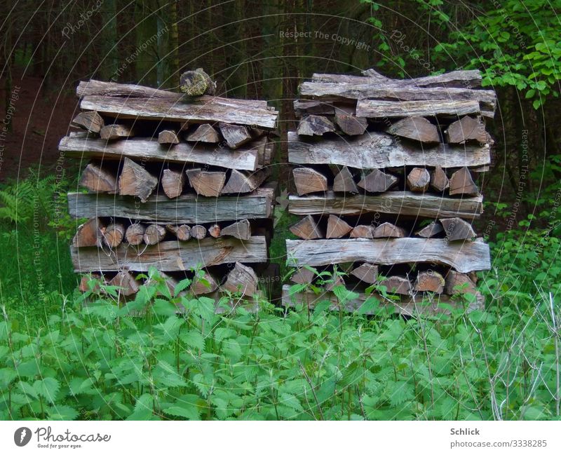 Brennholz Energiewirtschaft Erneuerbare Energie braun grün schwarz Holz Stapel Waldrand trocknen Laubholz Brennessel Ordnung 2 Heizung Farbfoto Außenaufnahme