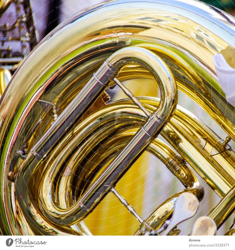 mal tief Luft holen Musik Orchester Horn Blasinstrumente Blechblasinstrumente Blaskapelle gelb gold blasen musizieren Krach laut marschieren Parade Rhythmus