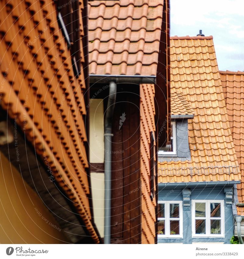 mustergültig renoviert Altstadt historisch Ziegeldach Dachziegel Tradition Stadtzentrum Sprossenfenster Fenster Altbau alt Vergangenheit schön Fassade