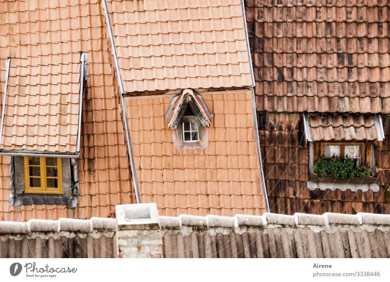 wenig Ausblick, wenig Einblick Dach Tag Dachgiebel Tradition authentisch historisch retro gemütlich altfränkisch Dachschräge Dachziegel ziegelrot Ziegeldach