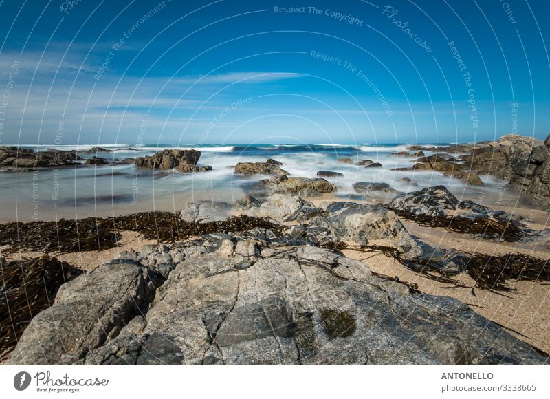 Das Brechen der Meereswellen auf den Felsen von El Tabo Schwimmen & Baden Segeln tauchen Umwelt Natur Landschaft Wasser Himmel Horizont Sonne Sonnenlicht Sommer