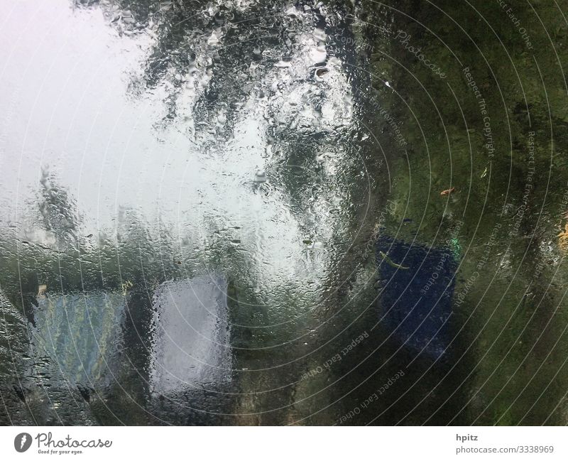 Regentag Urelemente Wassertropfen schlechtes Wetter Wind trist Natur Camping nass Farbfoto Gedeckte Farben Außenaufnahme Unschärfe