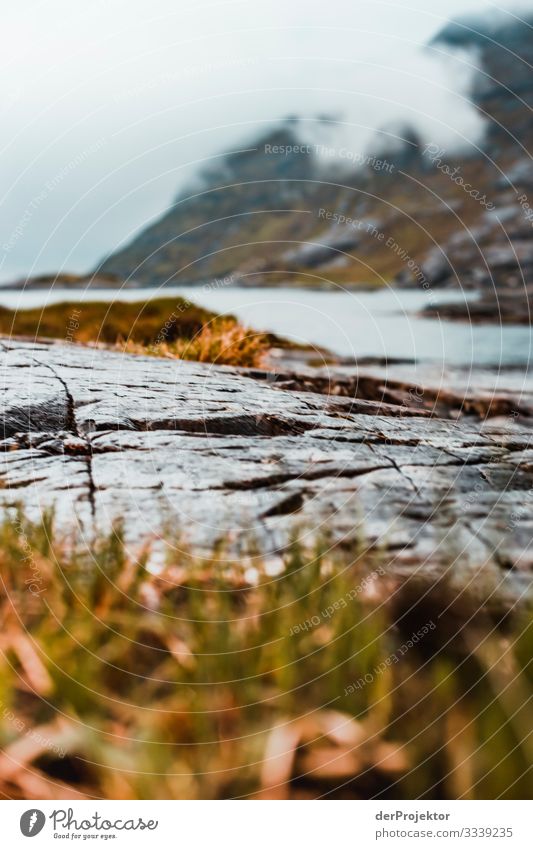 Loch Coruisk auf Isle of Skye Ferien & Urlaub & Reisen Tourismus Ausflug Abenteuer Ferne Freiheit Berge u. Gebirge wandern Umwelt Natur Landschaft Pflanze