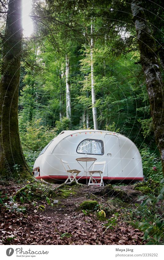 Oldtimer-Wohnwagen Lifestyle Stil harmonisch ruhig Ferien & Urlaub & Reisen Camping Sommer Natur Erde Schönes Wetter Moos Wildpflanze Wald Erholung träumen