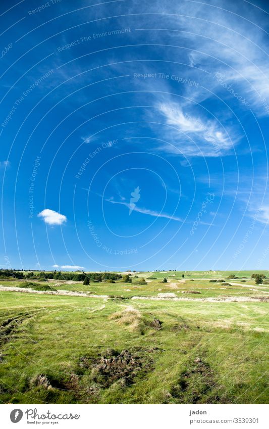 grünes land, blauer himmel, weisse wölkchen, wunderbar. Landschaft Baum Natur Herbst Außenaufnahme Farbfoto Umwelt Menschenleer Tag natürlich Himmel Feld Gras