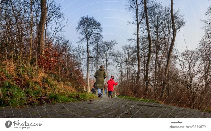 Spaziergang Mensch feminin Familie & Verwandtschaft 2 3-8 Jahre Kind Kindheit 18-30 Jahre Jugendliche Erwachsene 30-45 Jahre gehen Wald Winter Mutter Natur