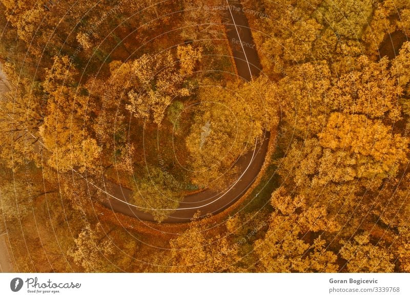 Luftaufnahme eines dichten Waldes im Herbst mit durchgeschnittener Straße schön Ferien & Urlaub & Reisen Ausflug Berge u. Gebirge Natur Landschaft Baum Blatt