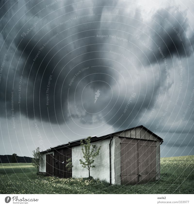 Hüttenkäse Umwelt Natur Landschaft Pflanze Himmel Gewitterwolken Horizont Klima Wetter schlechtes Wetter Unwetter Baum Grünpflanze Nutzpflanze Rapsfeld