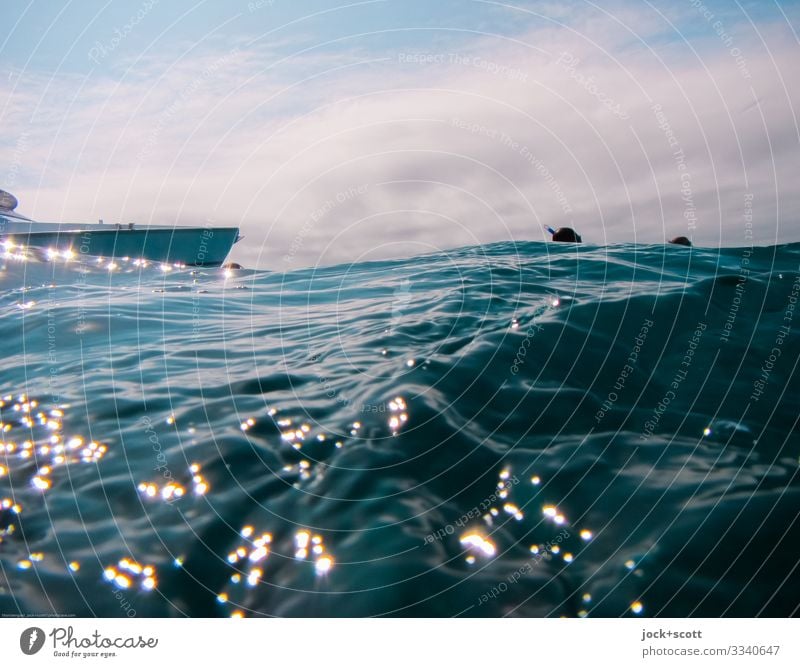 Welle und Woge mitten im Pazifik Schnorcheln Ausflug Himmel Wolken Schönes Wetter Meer Great Barrier Reef Beiboot Schwimmen & Baden oben Gelassenheit Bewegung