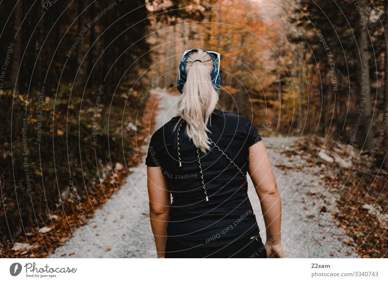 Aufstieg zum Berg brecherspitze wandern wirtschaftweg aufstieg wald herbst gehen rückenansicht junge frau blond zopf sportlich laub T-Shirt Schönes Wetter