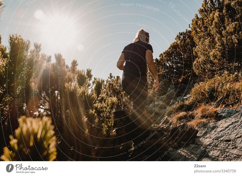 Wandern auf dem Brecherspitz brecherspitze spitzing wandern frau sonnenschein gegenlicht gebüsch aufstieg sonnenstrahl junge frau wärme herbst alpen sport