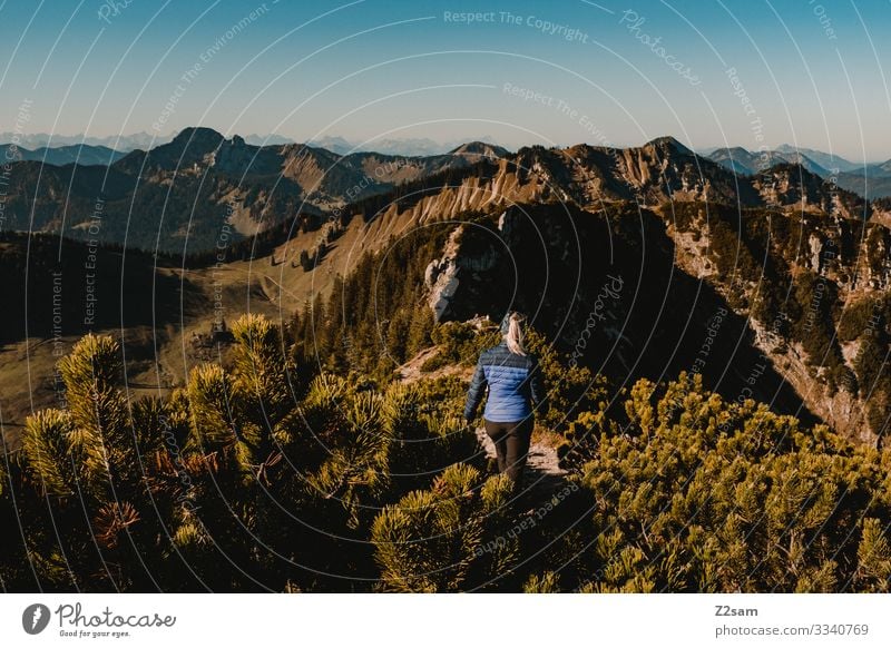 Wandern auf dem Brecherspitz | Bayern brecherspitze wandern bayern gebirge alpen gipfel wald panorama gehen sportlich gebüsch warm herbst grün braun frau