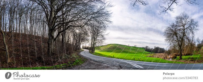 Kurvige Straße in einer Waldpanorama-Szene schön Ferien & Urlaub & Reisen Sommer Berge u. Gebirge Natur Landschaft Himmel Herbst Baum Gras Blatt Park Wiese