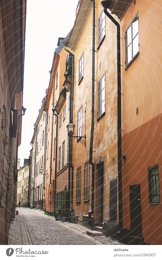 Gasse Städtereise Städtebau Stadt Stadtzentrum Stadtteil Stadthaus Hafen Hafenstadt Altstadt bunt Häuser Gebäude Architektur Möwe Freiheit Stadtpanorama