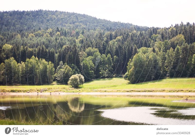 Idylle Außenaufnahme Farbfoto Landschaft Wanderschuhe Wandertag Wanderurlaub Klettern wandern Bergsteigen Sommerurlaub Berge u. Gebirge Expedition Freiheit