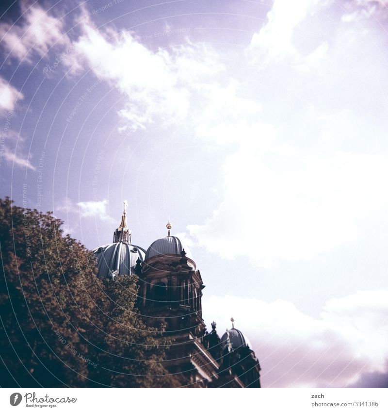 versteckt Himmel Schönes Wetter Pflanze Baum Berlin Stadt Hauptstadt Stadtzentrum Altstadt Kirche Dom Turm Bauwerk Sehenswürdigkeit Wahrzeichen