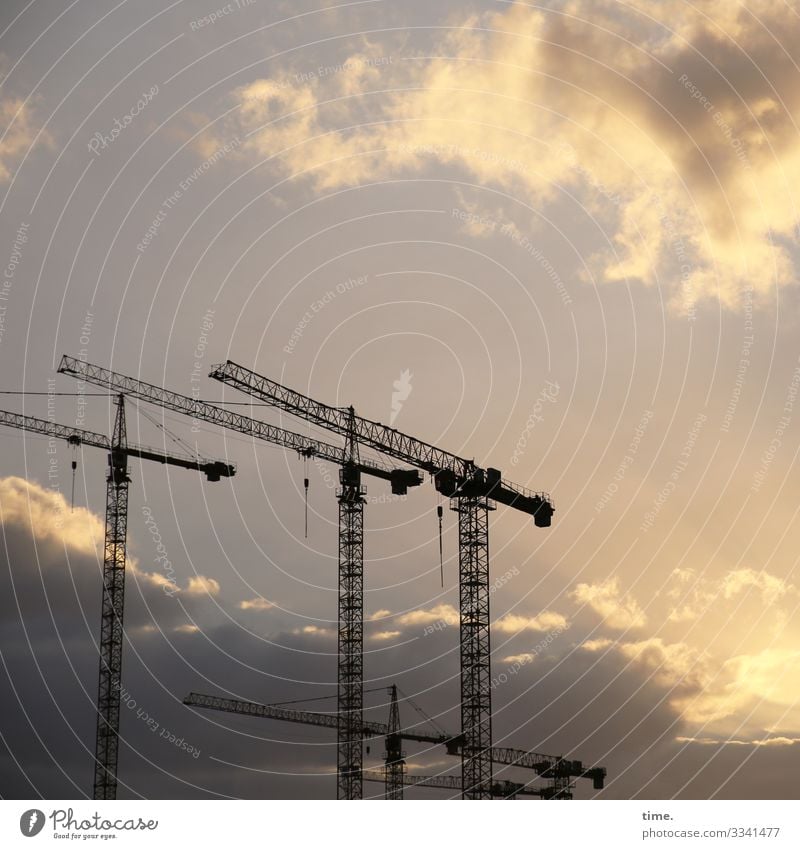 Stadtgiraffen (6) Arbeit & Erwerbstätigkeit Arbeitsplatz Baustelle Güterverkehr & Logistik Himmel Wolken Schönes Wetter Hamburg Kran stehen dunkel Zusammensein