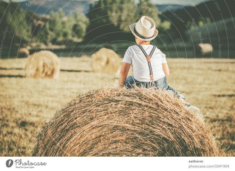 Rückenansicht eines nachdenklichen Kindes auf dem Strohfeld Lifestyle Ferien & Urlaub & Reisen Sommer Mensch maskulin Kindheit 1 8-13 Jahre Natur Landschaft