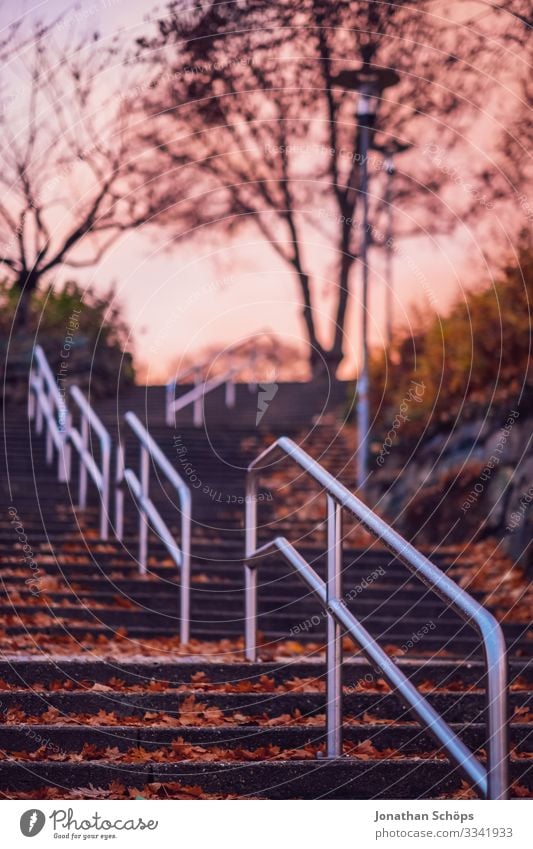 Treppe in Chemnitz in der Abenddämmerung Abendsonne Deutschland Dämmerung Sachsen rosa pink rötliches licht rot Geländer aufwärts Baum Herbst Laub draußen