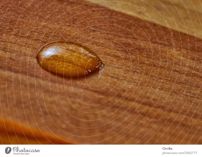 Wassertropfen auf Holz Lebensmittel Trinkwasser Möbel Holzplatte Holzfußboden Versiegelung Parkett Bodenbelag wasserfest Tropfen nah braun Schutz ästhetisch