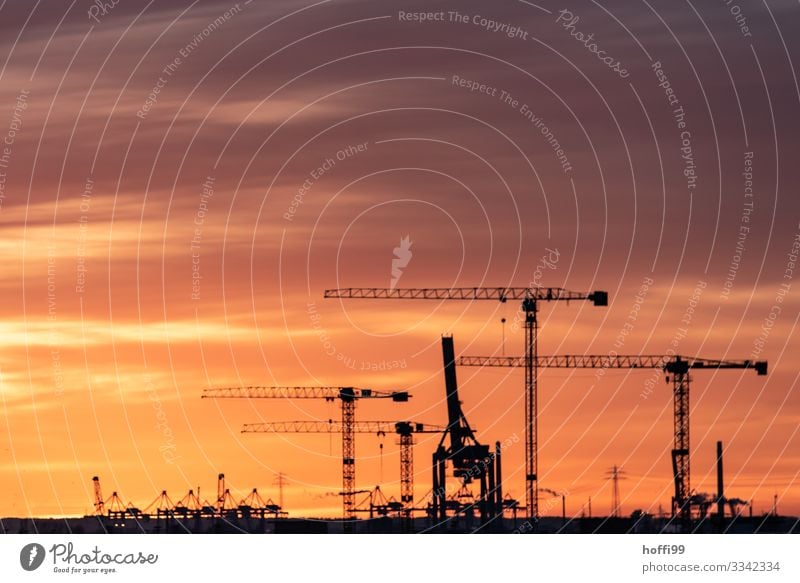 Kräne mit Sonnenuntergang Himmel Sonnenaufgang Schönes Wetter Hafenstadt Baukran Containerterminal verladen bauen Baustelle Arbeit & Erwerbstätigkeit gigantisch