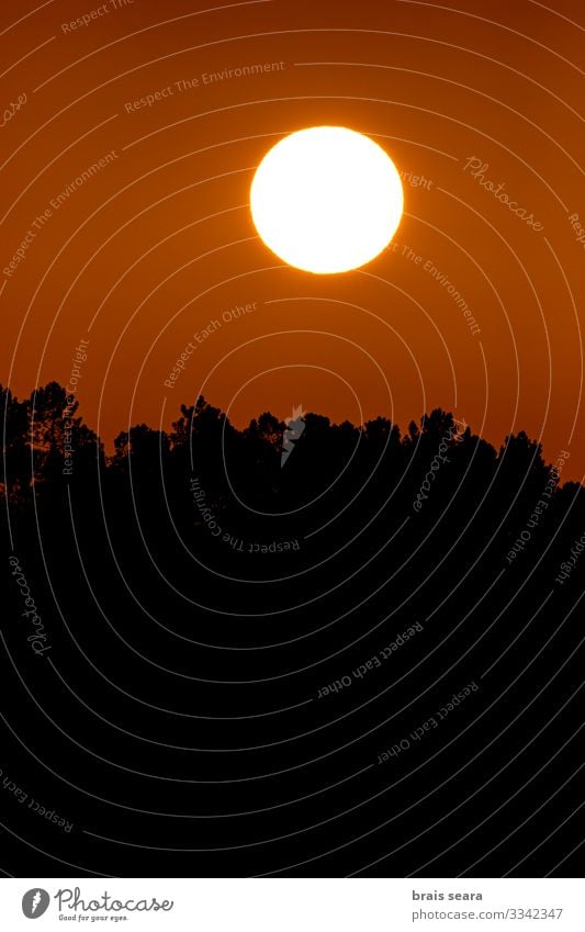 Sonnenuntergang schön Ferien & Urlaub & Reisen Freiheit Sommer Berge u. Gebirge Umwelt Natur Landschaft Himmel Wolken Horizont Sonnenaufgang Sonnenlicht Klima