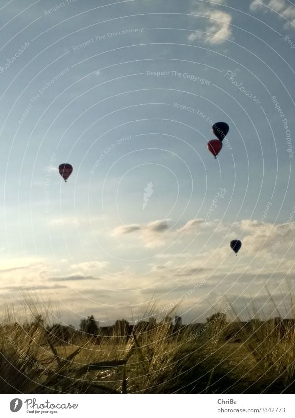 Sommerabend, Ballons über Neu-Ulm Lifestyle Freizeit & Hobby Sport Ballone Feierabend Erneuerbare Energie Luftverkehr Fluggerät Ballonstart Ballonfahrt Umwelt