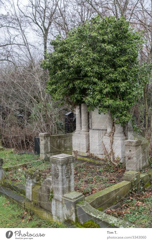 Friedhof Berlin Stadt Hauptstadt Stadtzentrum Menschenleer Gesundheit Identität Zeit Farbfoto Außenaufnahme Tag