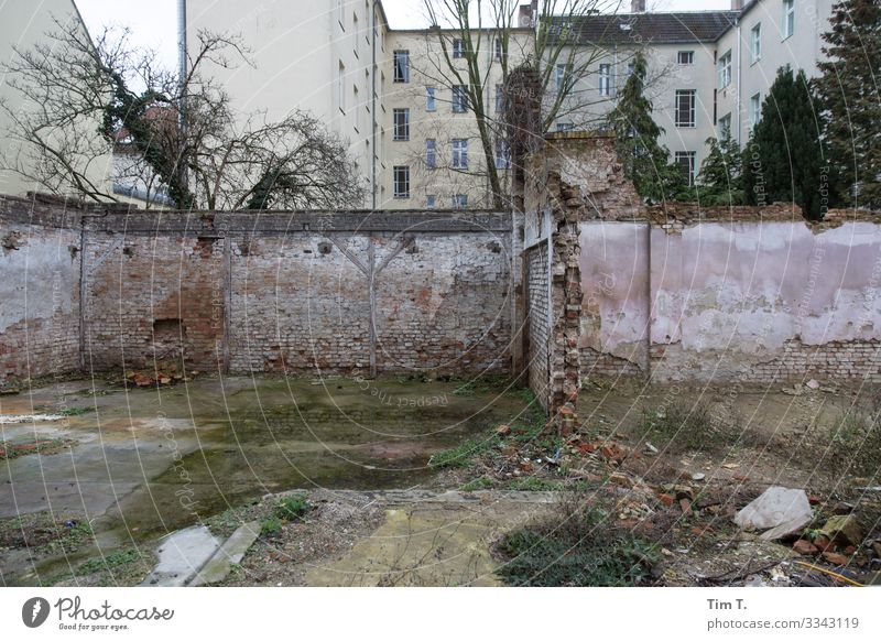 Berlin Weißensee Stadt Hauptstadt Stadtzentrum Altstadt Menschenleer Haus Ruine Bauwerk Gebäude Architektur Mauer Wand Umzug (Wohnungswechsel) Verfall