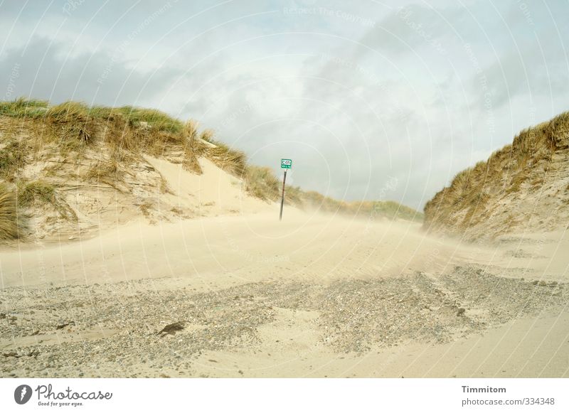 Sandwind. Umwelt Natur Landschaft Nordsee Düne Dänemark Schilder & Markierungen gehen natürlich Gefühle Strand Wege & Pfade Übergang Dünengras Stein Farbfoto