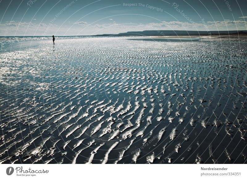 Strukturen Ferien & Urlaub & Reisen Sommer Sommerurlaub Sonne Strand Meer Mensch 1 Natur Landschaft Urelemente Küste Sand glänzend nass blau Fernweh Einsamkeit