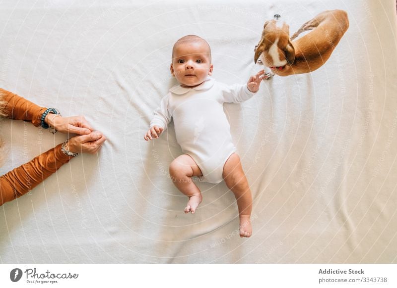 Kleines Baby liegt auf dem Bett und spielt mit Hund Säugling Lügen neugeboren heimwärts spielen bezaubernd neugierig Kind Windstille klein niedlich süß Pyjama