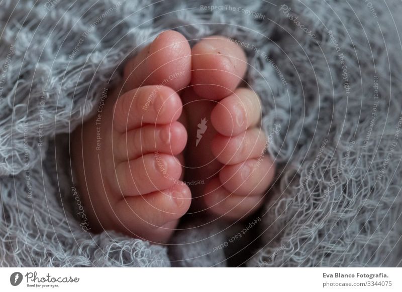 Zehn Tage altes Baby Nahaufnahme der Füße lieblich Fuß niedlich neugeboren klein Kind unschuldig Kaukasier weich Beautyfotografie weiß Liebe Fürsorge schön