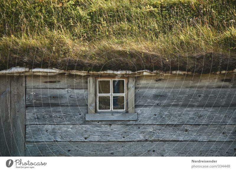 Echtheit Leben harmonisch Wohlgefühl ruhig Haus Traumhaus Hausbau Natur Sommer Wiese Fischerdorf Hütte Architektur Fassade Fenster Holz bauen Häusliches Leben