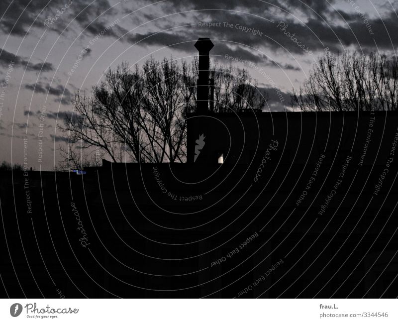 Gegenüber Hamburg Hafenstadt Menschenleer Haus Fabrik Fenster leuchten dunkel Baum Schornstein Wolken Winter Farbfoto Textfreiraum unten Abend Dämmerung