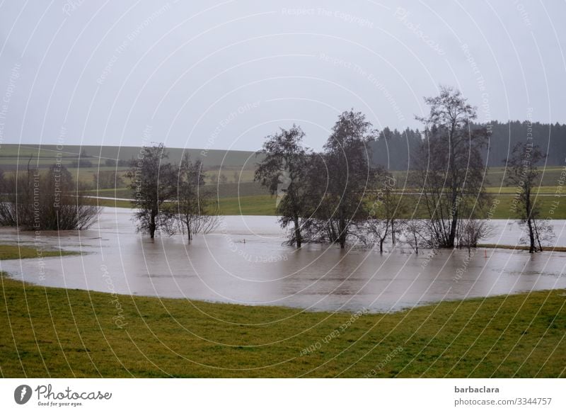 Überschwemmung Landschaft Pflanze Urelemente Erde Wasser Himmel Winter Unwetter Sturm Regen Baum Sträucher Wiese Flussufer Bach bedrohlich dunkel Gefühle Sorge