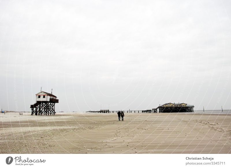 Two harmonisch Erholung ruhig Ferne Freiheit Strand Meer Paar 2 Mensch Küste Nordseeküste Nordseestrand St. Peter-Ording Sandstrand gehen wandern maritim