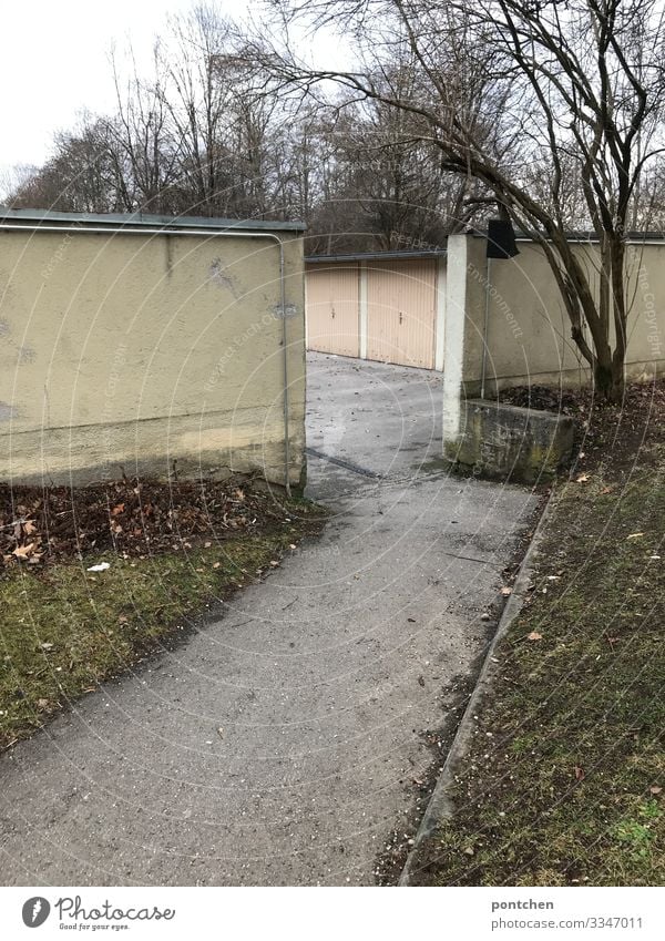 AußenaufnahmeGeteerter Weg führt zu Garagen mit rosa Tore. Natur Herbst Winter schlechtes Wetter Baum Wiese Bauwerk Mauer Wand alt hässlich Garagentor