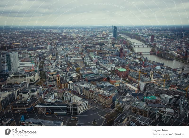 Stadt von oben ist  Frankfurt a / M zu sehen.Viele Häuser , der Dom und der Main. Freude Ausflug Häusliches Leben Landschaft Sommer Schönes Wetter