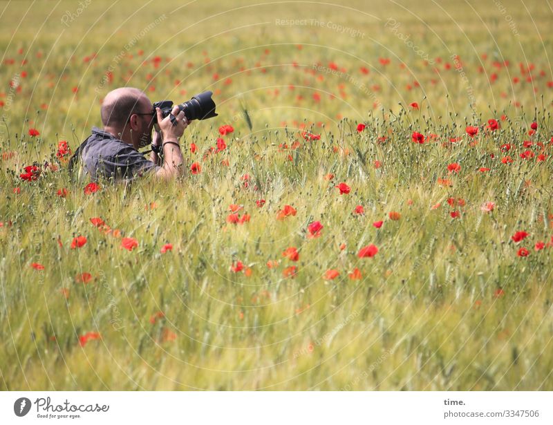 Der Mohnblumenjäger mohnblumen fotografieren wiese gras mann konzentration hingabe Leidenschaft sitzen hocken sonnenlicht sommer aufmerksam landwirtschaft feld