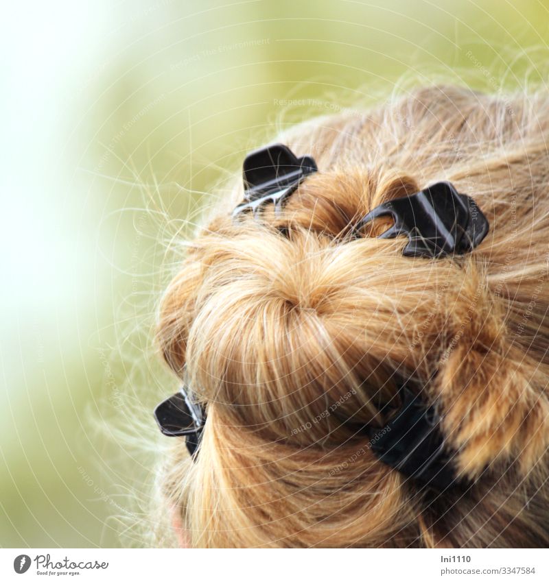 Dutt ist mal wieder Trend Lifestyle elegant Freude schön Haare & Frisuren Kamm Haarbürste Mittelpunkt Knäuel Hochsteckfrisur lustig Brosche Haarsträhne