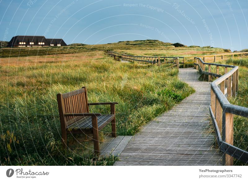 Holzpfad durch hohes Gras auf Sylt am Abend Erholung Sommer Natur Landschaft Park Wiese schön Insel Friesland Deutschland Schleswig-Holstein Gasse Bank