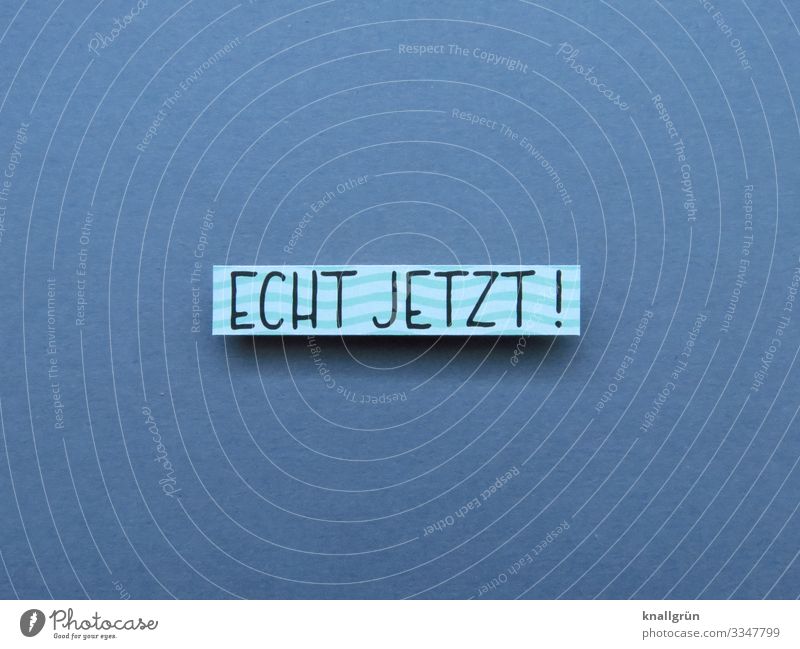 Echt jetzt! Empörung Gefühle Unverständnis Stimmung Erwartung Buchstaben Wort Satz Letter Text Typographie Sprache Lateinisches Alphabet Freisteller Mitteilung