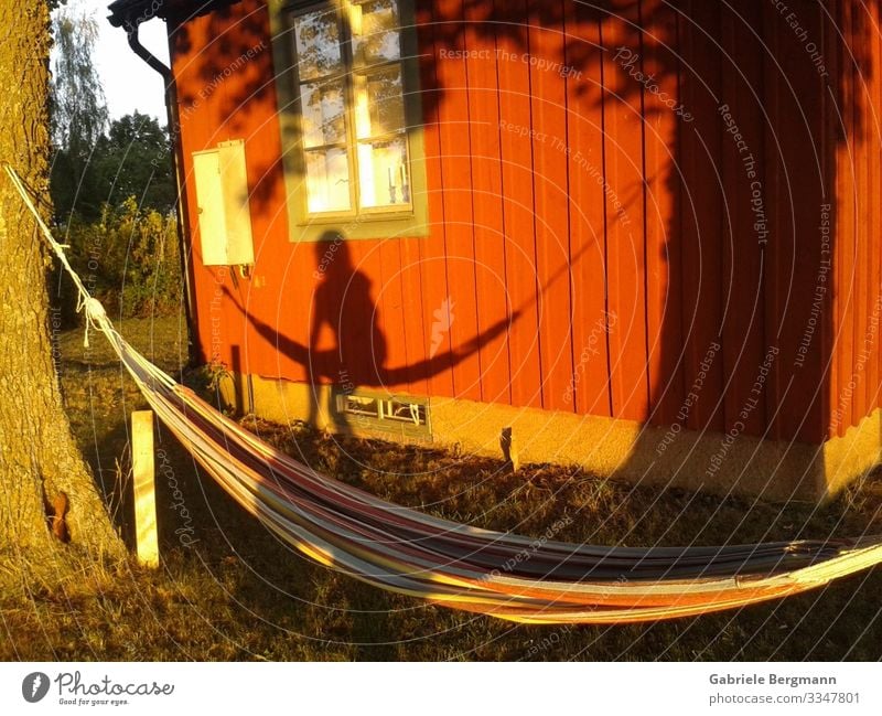 eine leere Hängematte Erholung ruhig Sommer Sommerurlaub Einsamkeit Farbfoto Außenaufnahme Menschenleer Tag Licht Schatten Silhouette