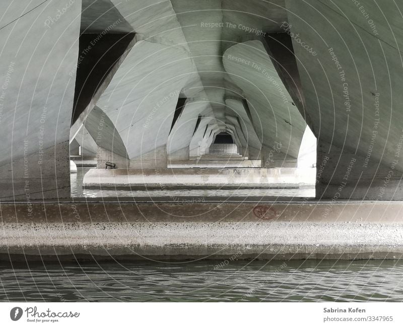 Unter der Brücke in Singapur am Merlion Singapore Hauptstadt Bauwerk Architektur Sehenswürdigkeit Wahrzeichen Stein Beton Wasser authentisch modern weiß Fluss